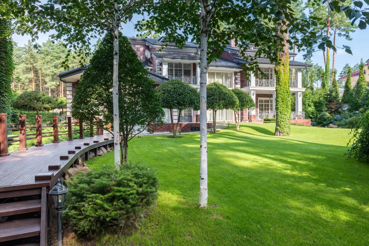 Homeowner walking across a backyard lawn checking the ground over a septic field