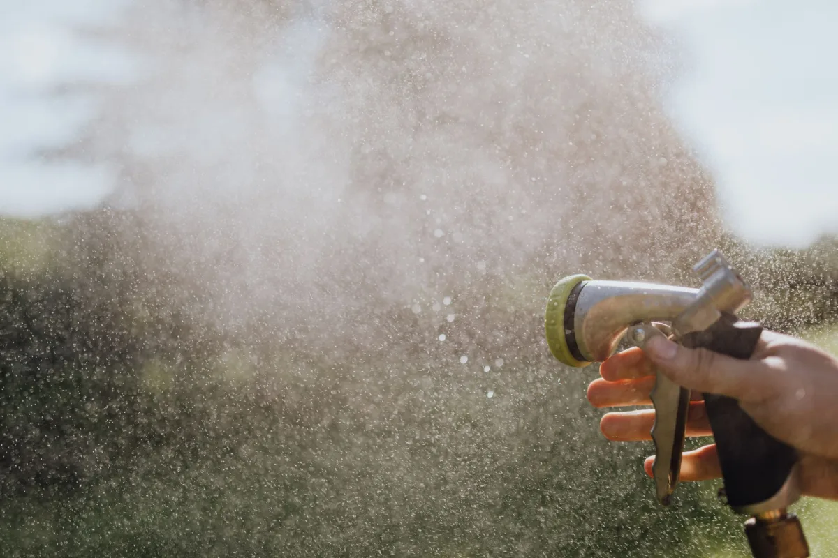 Rinsing a septic effluent filter screen with a garden hose