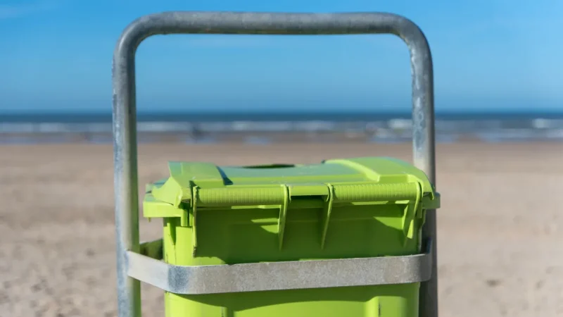 How to Clean a Septic Tank Effluent Filter