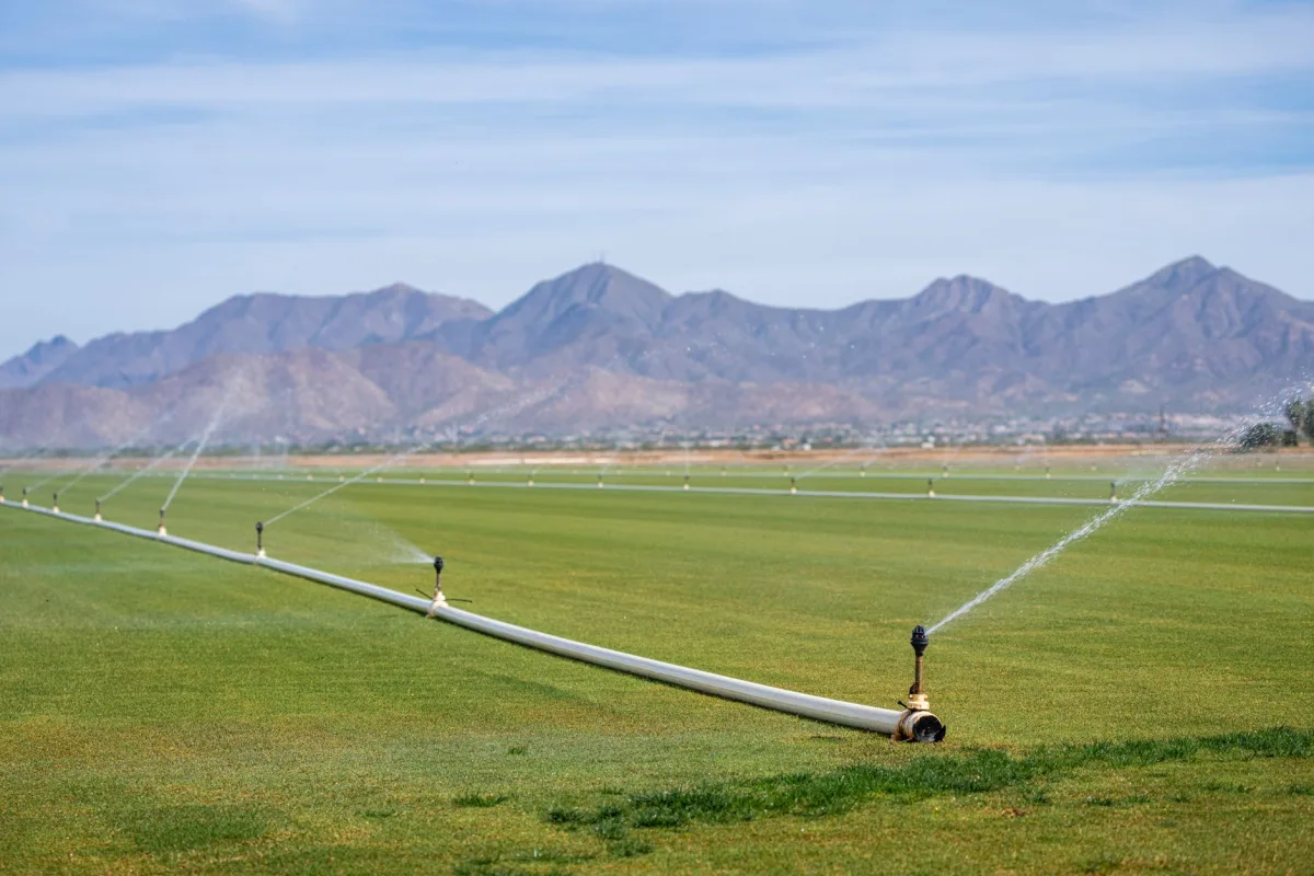 Perforated septic drain field pipe laid in a gravel-filled trench
