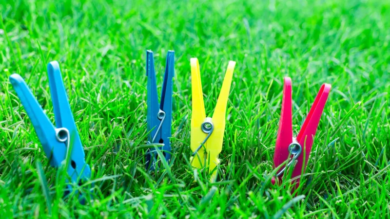Drain Field Inspection Checklist for Homeowners