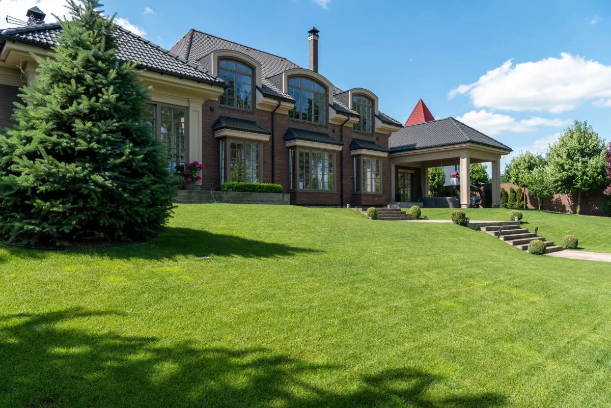 Healthy green grass lawn covering a residential septic drain field area
