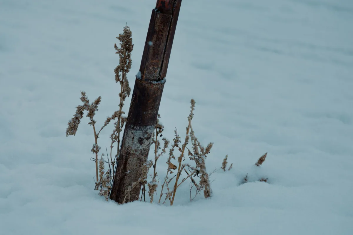 Frozen pipe emerging from snowy ground near a home septic system
