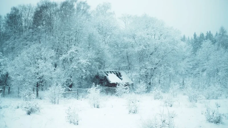 How to Protect a Septic System from Freezing