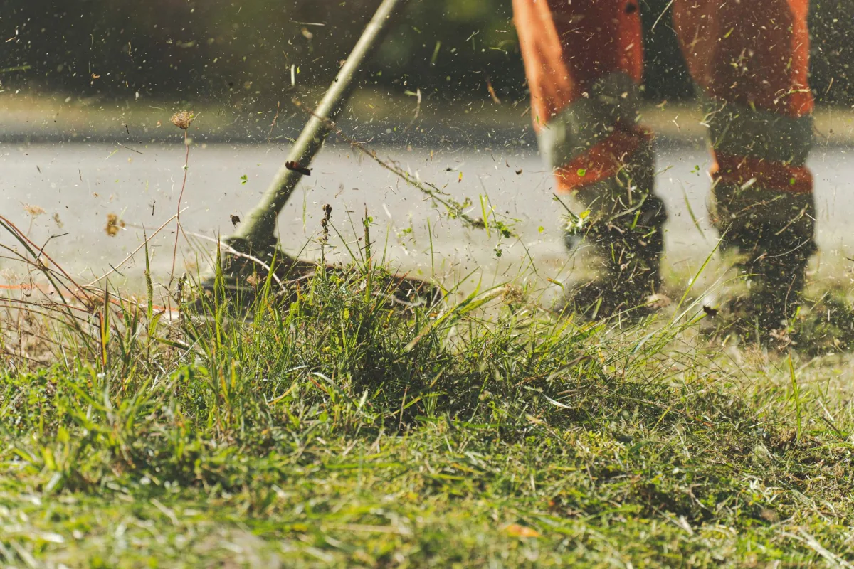 Homeowner mowing grass over an open lawn area