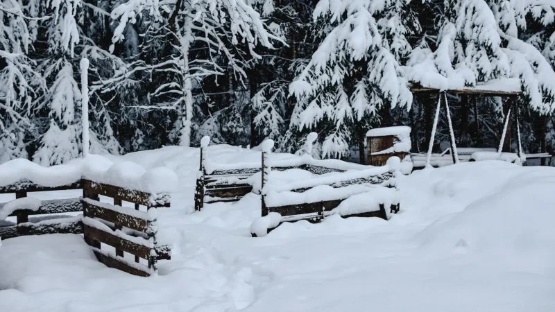 Seasonal Septic Maintenance Checklist (All Year)