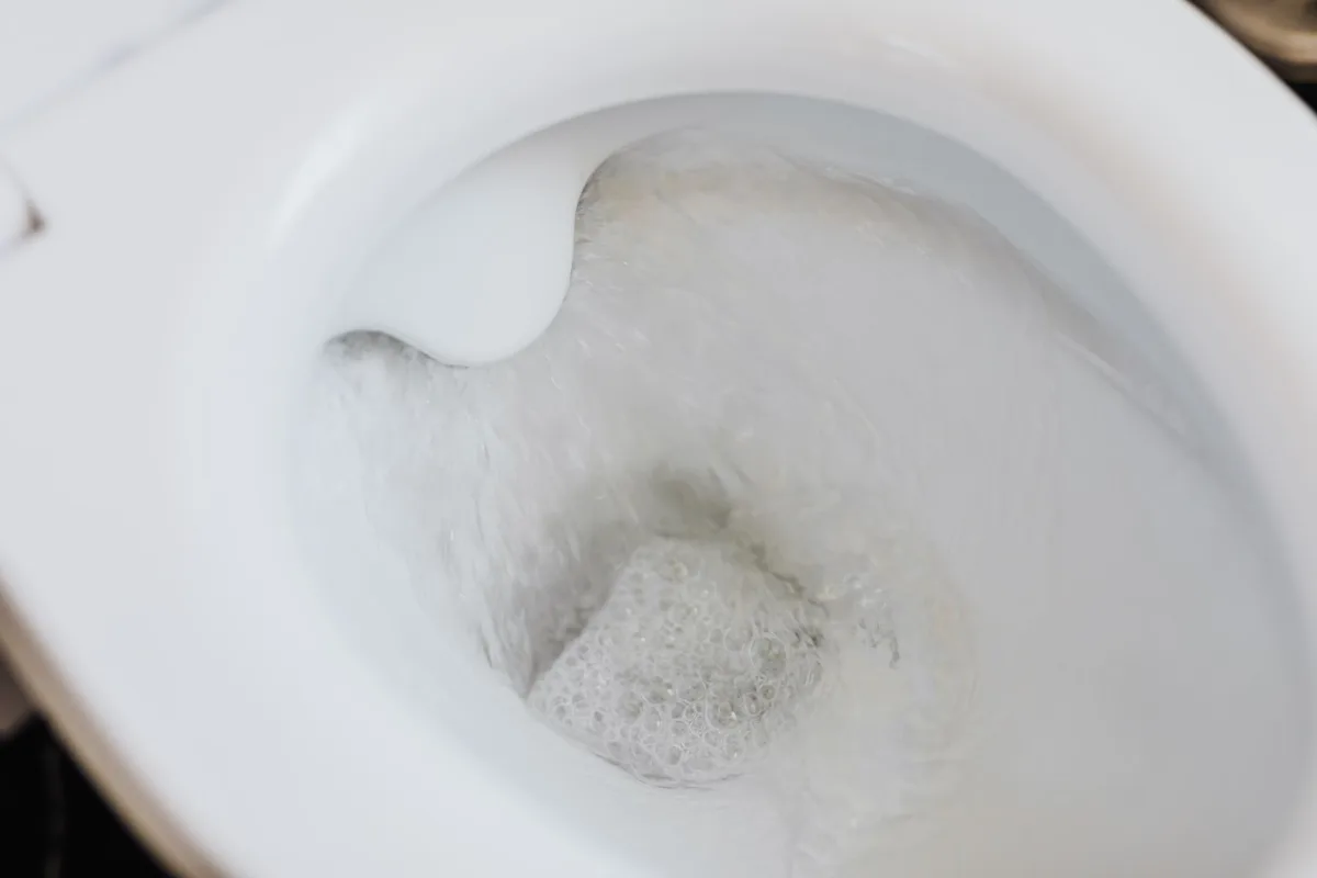 Toilet paper being flushed, the only paper safe for a septic tank
