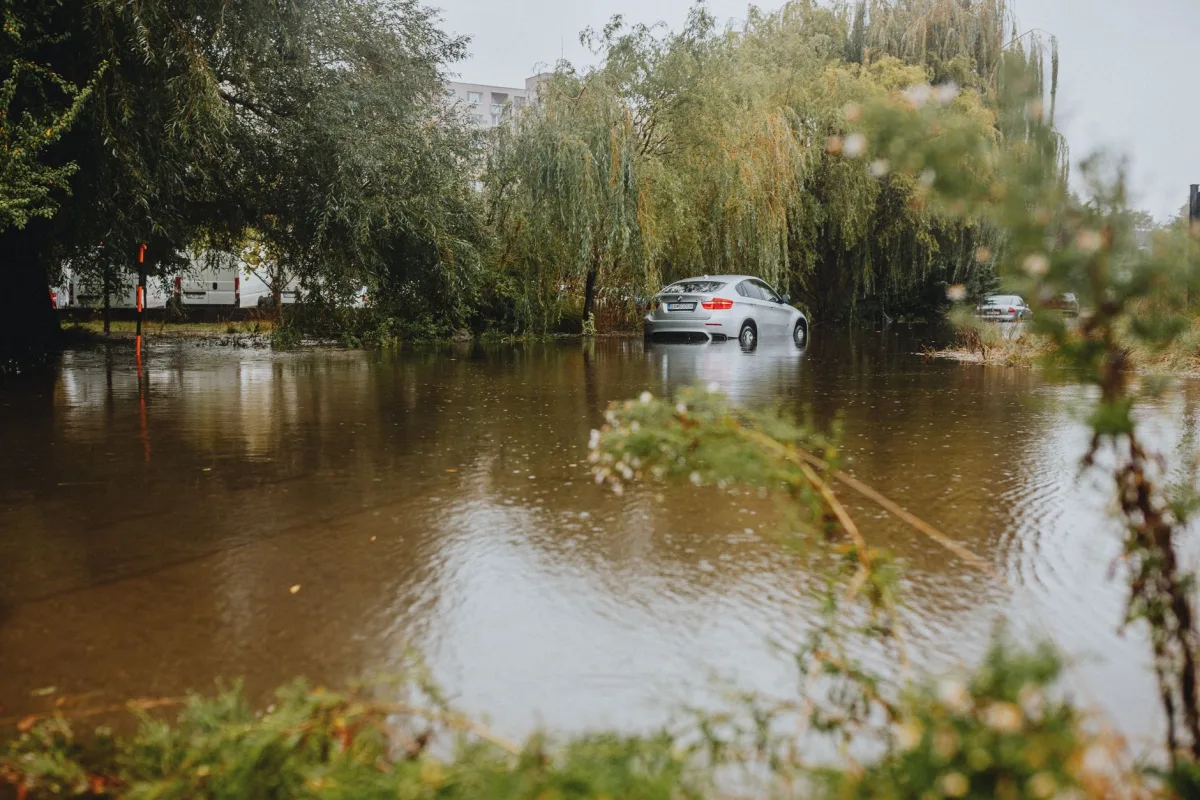 Soggy lawn with standing water over a septic drain field following a heavy storm