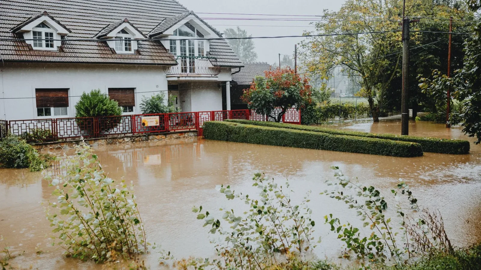 Standing storm water pooling across a suburban backyard over a septic drain field after heavy rain