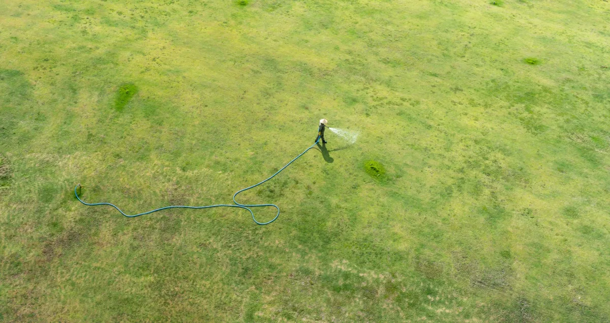 Large black vacuum hose running across a lawn from a septic pump truck
