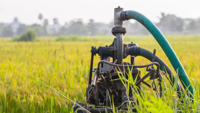 Septic Tank Pumping for Beginners: What to Expect