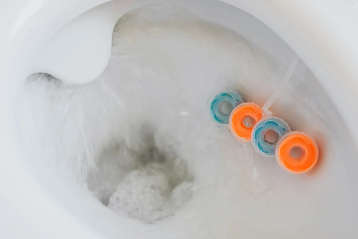 Person flushing a household toilet connected to a septic system