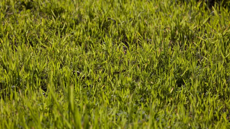 Signs Your Septic System Is Failing: What to Watch