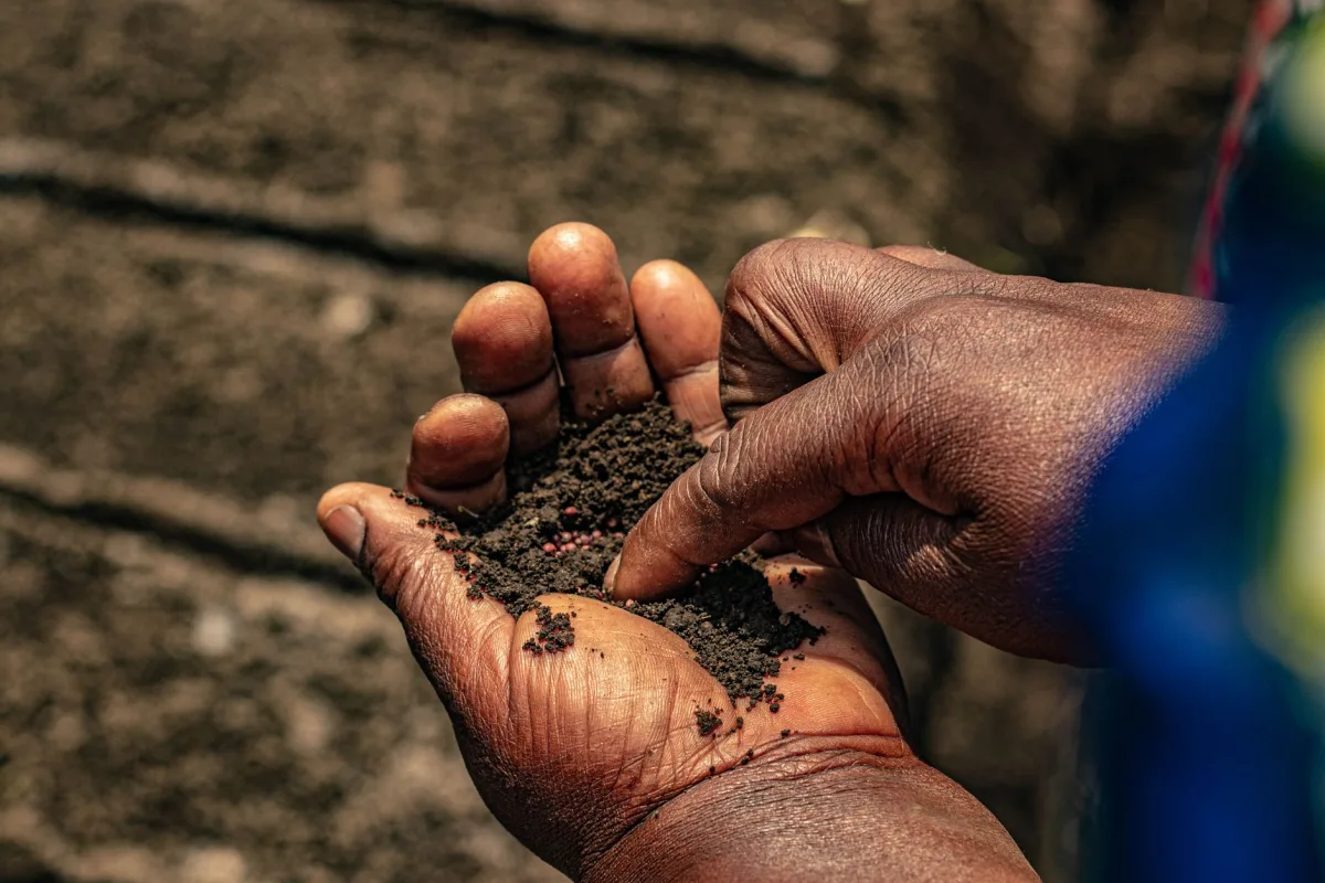 Hand holding a clump of dark loamy soil in a garden