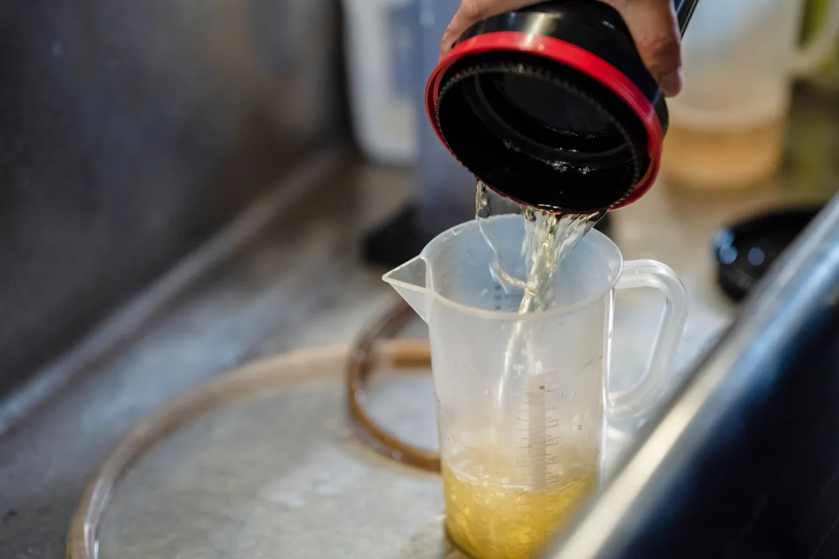 Cooking grease being poured toward a kitchen sink drain
